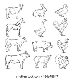 farm animals vector collection. Cow, pig, chicken, sheep, goat, turkey, goose, horse logo.