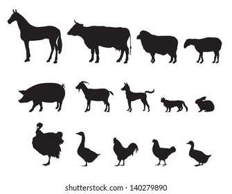 Farm animals vector set. Livestock.