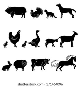 Farm animals vector set. Livestock.