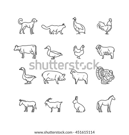 Similar – Image, Stock Photo chicken Animal Pet