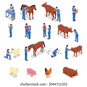 Animales de granja conjunto de íconos isométricos de color veterinario con controles de sanidad de los animales vacunados y diversos ilustraciones vectoriales de animales