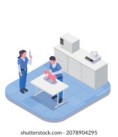 Farm animals veterinary isometric colored concept vaccination room with two doctors who give the shot to the pig vector illustration