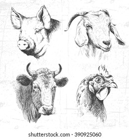 Farm Animals Vintage Set, Vector. See Also Other Sets Of Animals.