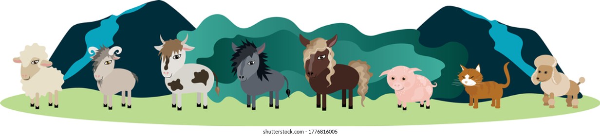 Farm animals walk on the field
