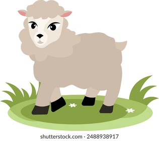 Farm Animals. Young gray sheep on green grass on a white background. Baby flat vector illustration.