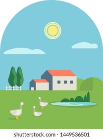 Farm animals.Ducks by the lake
on green grass against a background of rural summer landscape
