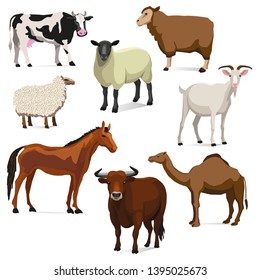 FARM OR BARN ANIMALS VECTOR