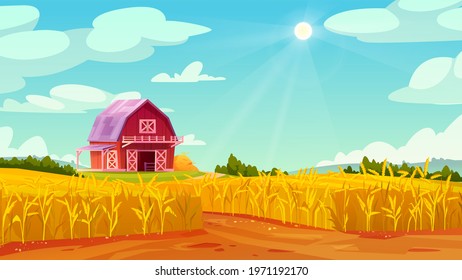 Farm barn house on yellow wheat field, summer scenery landscape with blue sky. Vector rural panorama of organic grains, rye or oats cereals, malts abundance fertility agriculture, forest on background