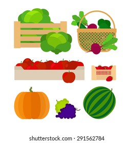 Farm baskets with vegetables and fruits vector illustration