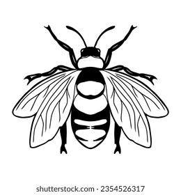 Farm Bee Icon, True Black Icon