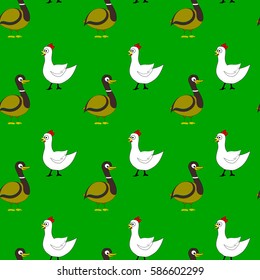 Farm bird character mallard and chicken. Seamless pattern wildlife. Vector illustration