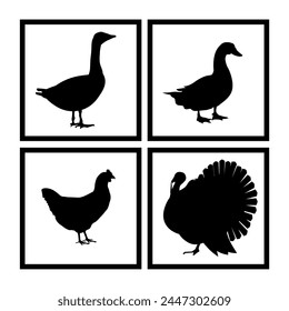 Farm bird icon set. Silhouettes of poultry fowl goose, duck, chicken, turkey in square frames. Side view. Vector illustration isolated on a white background