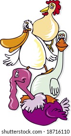 farm birds
