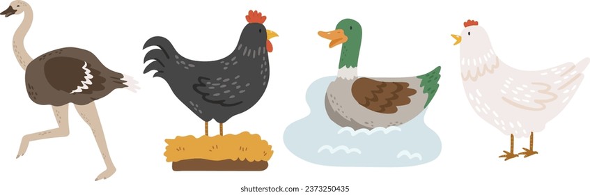 Vector de aves de granja, vector de aves de bebé abstractas, animales de cría, animales lindos aislados