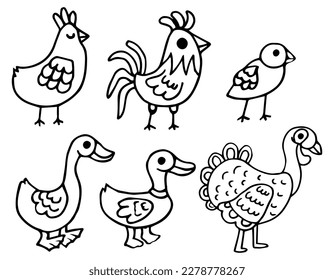 Farm birds animals. Vector stock illustration isolated on white background