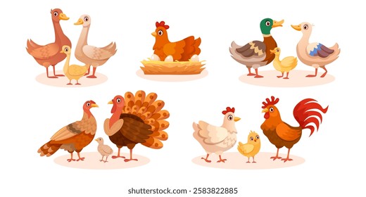 Farm birds. Cartoon poultry animals, hen chicken on nest breeds turkey goose duck or rooster family walking farmyard, farmer domestic bird livestock set, swanky vector illustration original artwork