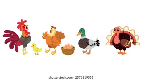 Farm birds, chicken, rooster, duck and turkey. vector illustration.