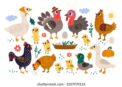 Farm birds. Domestic poultry yard inhabitants. Funny duck. Turkeys family. Pretty chickens with wings and beaks. Cartoon hen and rooster. Geese and eggs. Vector feathered
