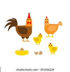 farm birds family cartoon flat illustration. rooster hen chicken egg nest isolated on white background