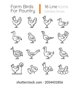 Farm birds for poultry linear icons set. Domestic birds. Ducks, geese husbandry. Commercial fowl farming. Customizable thin line contour symbols. Isolated vector outline illustrations. Editable stroke