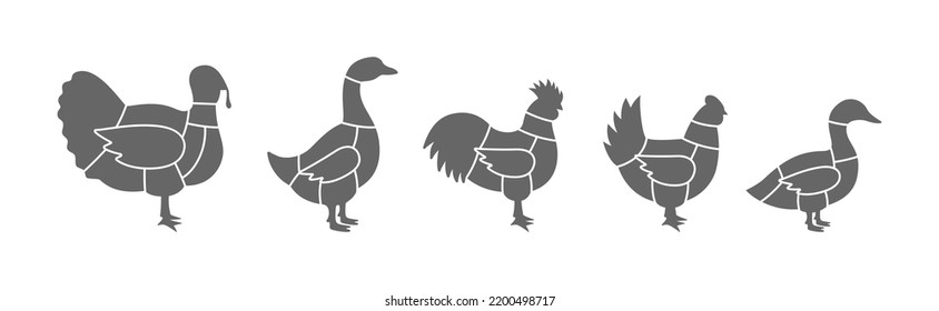 Landwirtschaftliche Vogelschutzprogramme Türkei, Huhn, Rooster, Ente, Gänsestücke von Fleisch. Fleischschnitt-Diagramm, einzeln auf weißem Hintergrund.