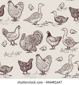 Farm Birds Seamless Pattern Chickens Geese Stock Vector (Royalty Free ...