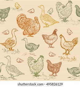 Farm birds seamless pattern vintage engraving style. Chickens, geese, ducks, turkey, packaging farm products hand drawn vector 