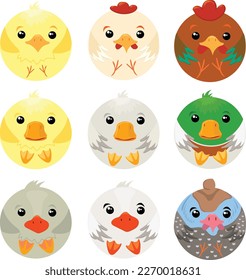 Farm birds set. Duck, drake, duckling, chicken, rooster, chick, goose, gosling, guinea fowl.