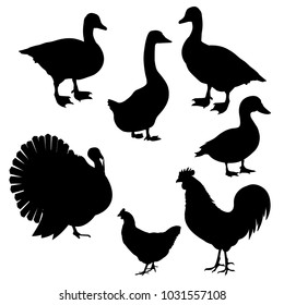 Farm birds. Set of vector black silhouettes on white background