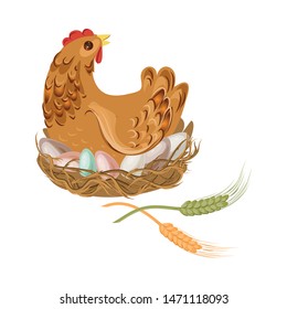 Farm brown color chicken or hen stay on eggs