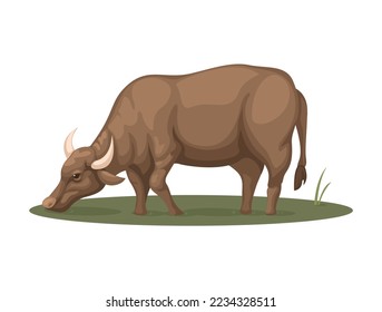 Farm Buffalo drink water on swamp. rural animal life illustration vector