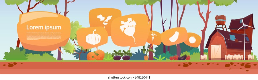 Farm Building Eco Farming Infographics Fresh Domestic Food Concept Flat Vector Illustration