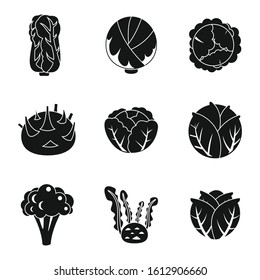 Farm cabbage icons set. Simple set of farm cabbage vector icons for web design on white background