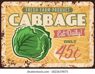 Farm cabbage rusty metal vector plate. Ripe green cabbage head. Vegetable local farm product, grocery store or shop retro banner or poster, vintage price tag or grungy sigh with rust texture