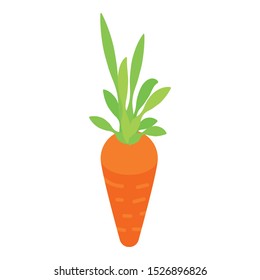 Farm carrot icon. Isometric of farm carrot vector icon for web design isolated on white background