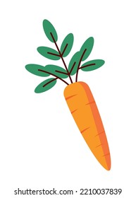 Farm carrot icon. Natural and organic product, vegetable and vitamins. Vegetarianism, healthy eating and proper nutrition. Sticky for social networks and messengers. Cartoon flat vector illustration