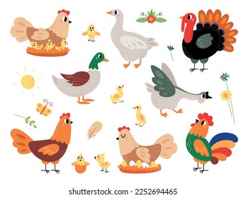 Farm cartoon birds set, walking funny chick and duck. Small chicken and ducklings, pretty hen turkey and goose. Rooster and egg nest, classy vector clipart