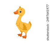 Farm cartoon gosling. Small baby goose. Colored cute farm bird. Vector colorful illustration isolated on white background.