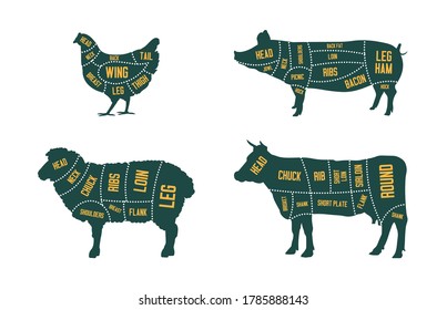 Farm cattle set. Pork, beef, lamb, of chicken, infographics with parts of farm animals silhouettes,. Vector illustrations for butcher, meat production concepts, butchery shop logo design