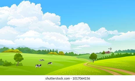 Farm caws grazing green grass