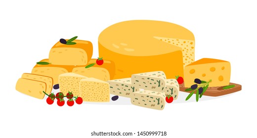 Farm cheese vector. Different cheese types vector illustration