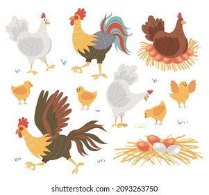 Farm chicken bird family nest concept illustration. Vector flat cartoon graphic design isolated set