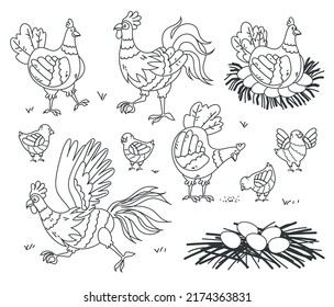 Farm chicken bird family nest concept line art illustration. Vector flat cartoon graphic design isolated set