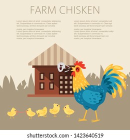 Farm chicken characters. Singing rooster banner vector flat illustration. Cute and funny hens. Cock looking after chicks while they scrounge for food. Animals near farm house.