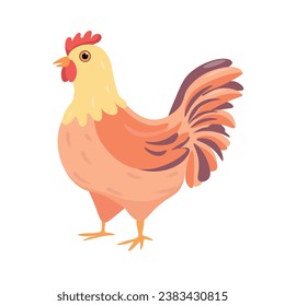 Farm chicken. Hen  in flat or cartoon style isolated on white background. Vector illustration