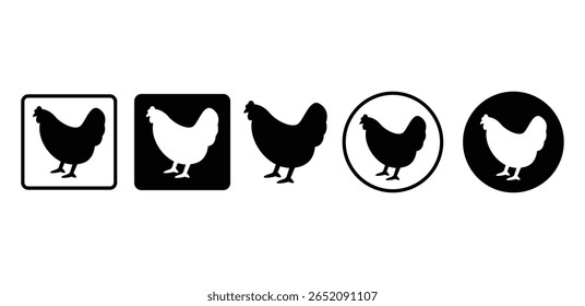 Farm Chicken Icons Black And White Silhouettes In Square And Circle Shapes Vector Design Illustration 