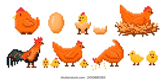 Farm chicken pixel art. Chick hatching from egg, hen on nest, rooster and baby chicks retro 8 bit video game style vector illustration set of chicken farm animal of game 8 bit