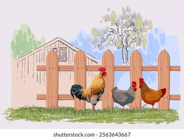 Farm and chicken rooster hen at landscape view background vector illustration. Agriculture harvest and farming theme design.