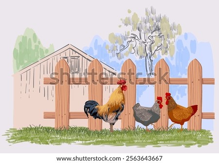 Farm and chicken rooster hen at landscape view background vector illustration. Agriculture harvest and farming theme design.