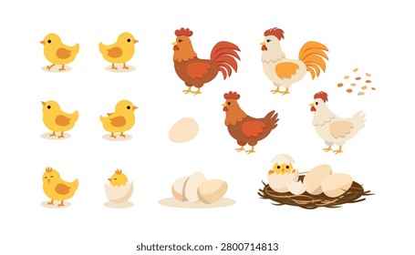 Farm chicken set. Cute little chicks, roosters, hens, eggs and nest. Poultry collection for farming, agriculture, Easter and spring design. Flat vector illustration isolated on white background.